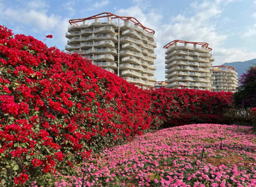 ce8813c6ce5fb4e21e399f50eace036c.jpg ce8813c6ce5fb4e21e399f50eace036c.jpg