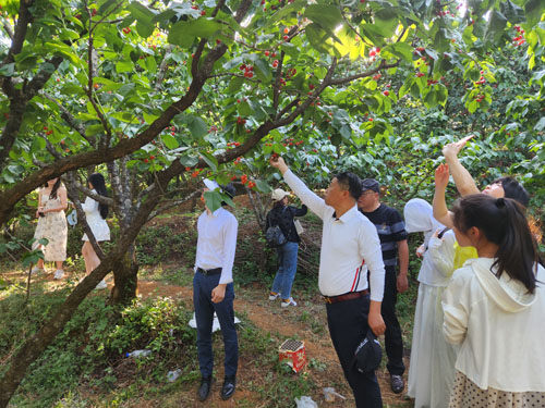 微信圖片_20230418153258.jpg 微信圖片_20230418153258.jpg