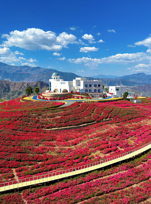 圖片5.jpg 圖片5.jpg